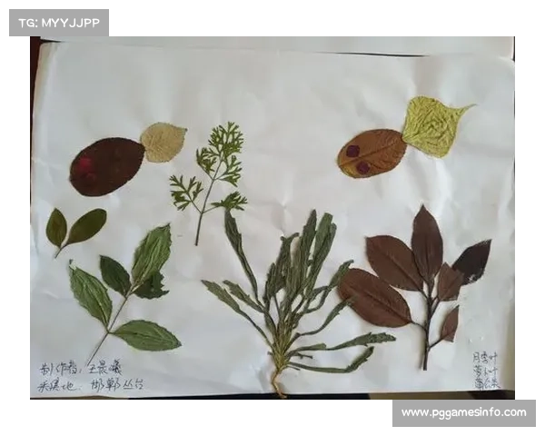 里尔运动战传中220次，高空作业成特色